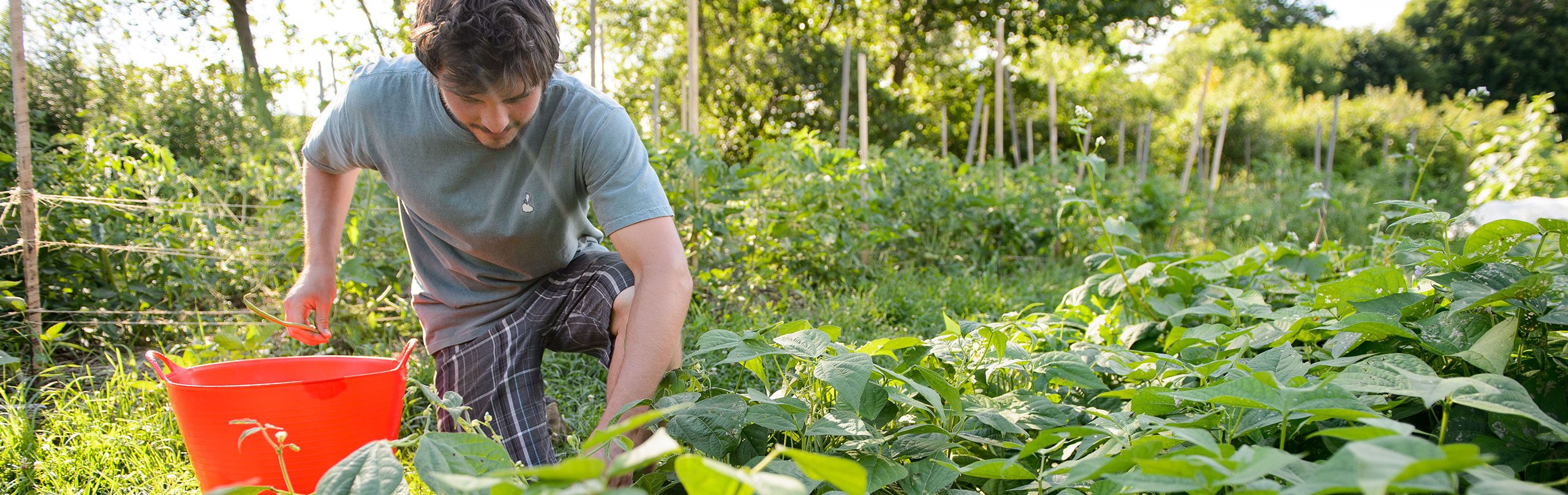 Stutent farmer checking crops