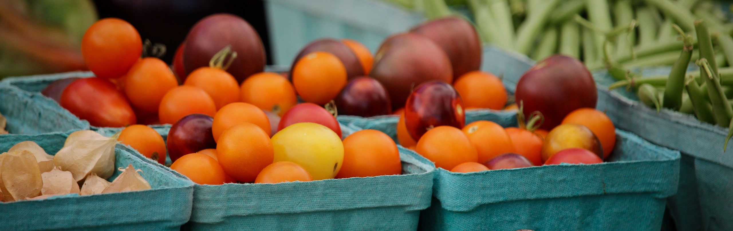 tomatoes for sale