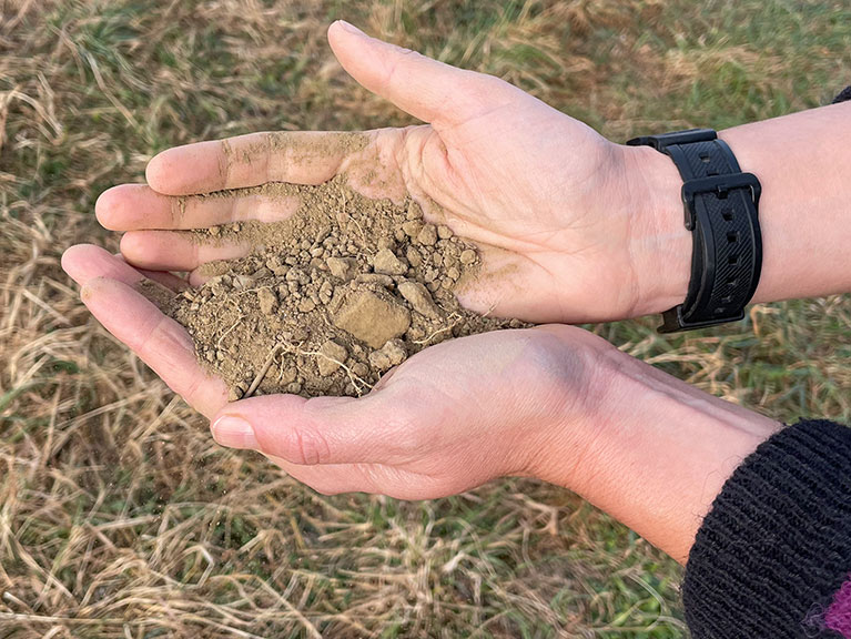 holding soil in hands