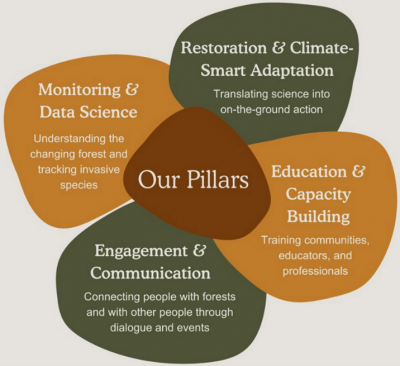 Diagram of pillars of CT Forest Health Collaborative. In the center is a dark brown shape labelled 'Our Pillars' and there are four larger shapes connected to these pillars going clockwise from the top right: In green, Restoration & Climate-Smart Adaptation: Translating science into on-the-ground action. In orange: Education & Capacity Building: Training communities, educators, and professionals. In green: Engagement & Communication: Connecting people with forests and with other people through dialogue and events. In orange: Monitoring & Data Science: Understanding the changing forest and tracking invasive species.