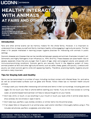 Healthy interactions with animals at fairs and events fact sheet. Full ADA compliant fact sheet linked on webpage.