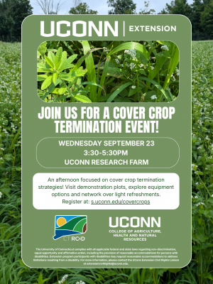 A flyer advertising a cover crop termination event taking place on September 23 from 3:30-5:30pm at the UConn Research Farm. The event will focus on cover crop termination strategies and is sponsored by UConn Extension and CT RC&D.